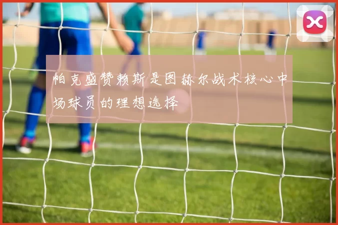 帕克盛赞赖斯是图赫尔战术核心中场球员的理想选择